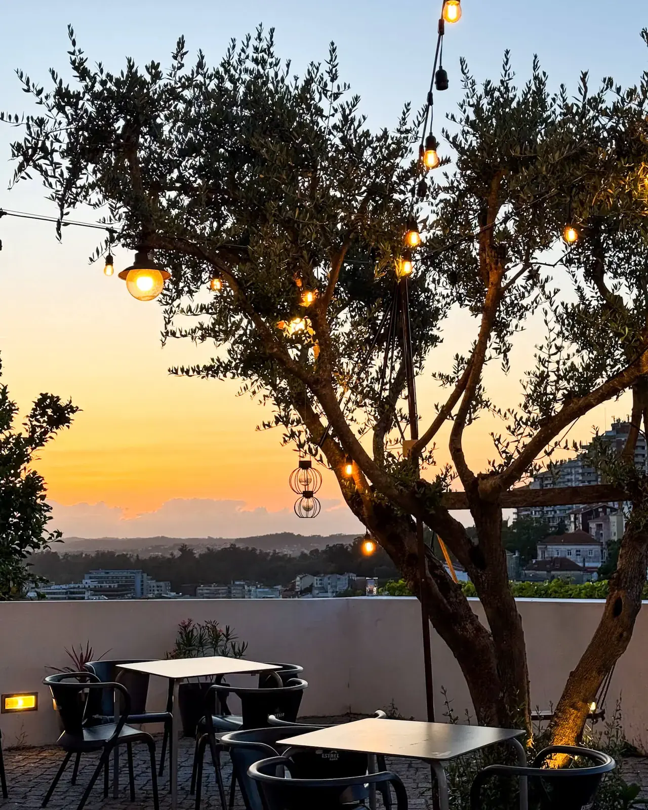 Oliveira com luzes suspensas e mesas do terraço ao pôr do sol