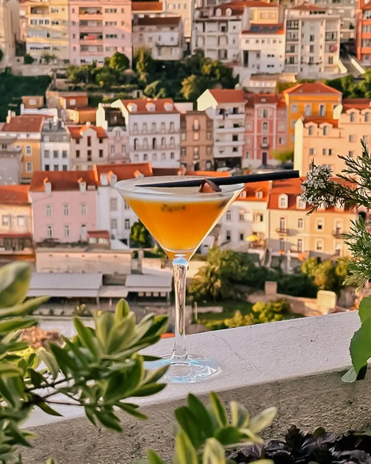Cocktail num copo de martini sobre a mureta do terraço, com casas coloridas de Coimbra ao fundo