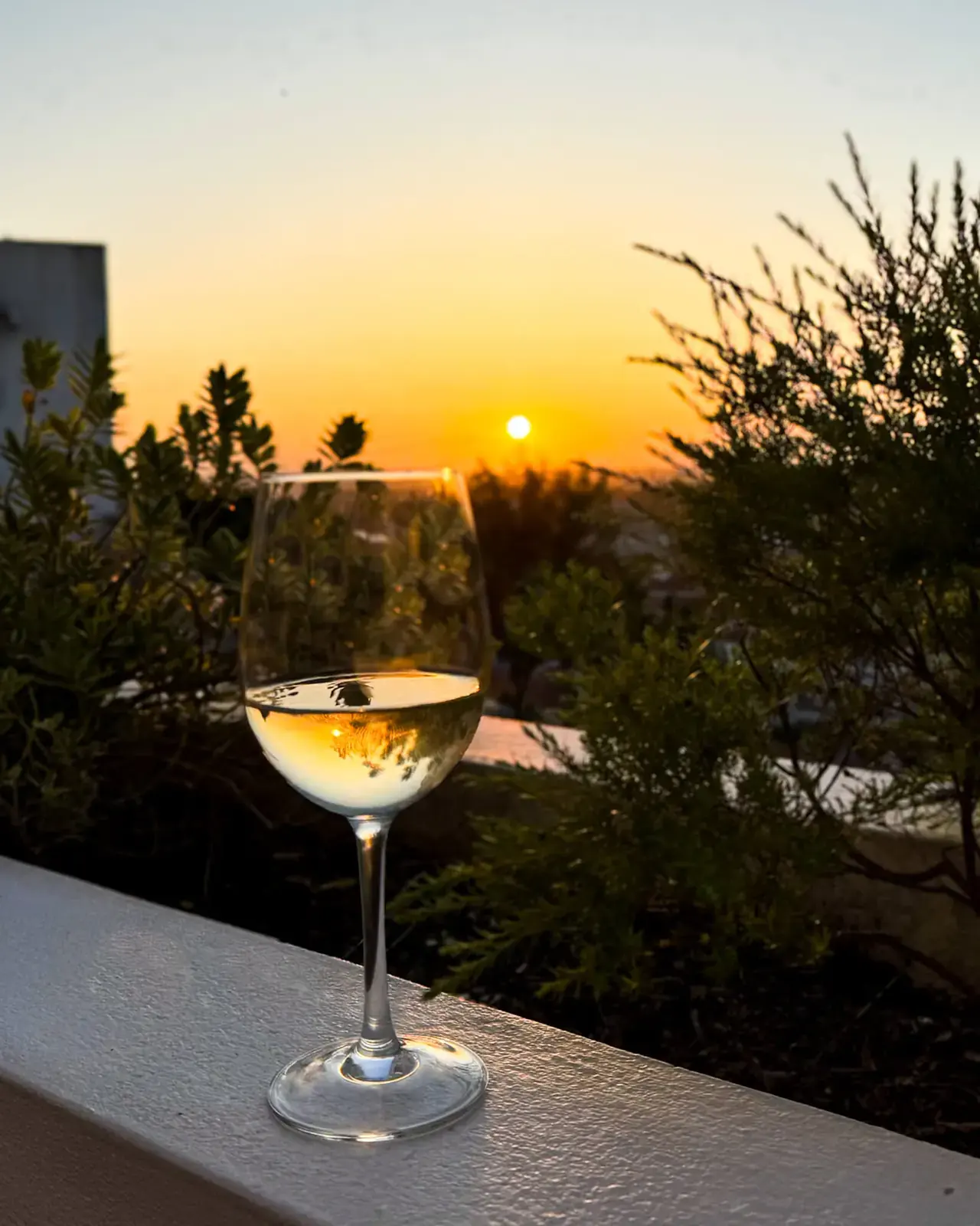 Copo de vinho branco sobre a mureta do terraço, com o sol a pôr-se entre os arbustos